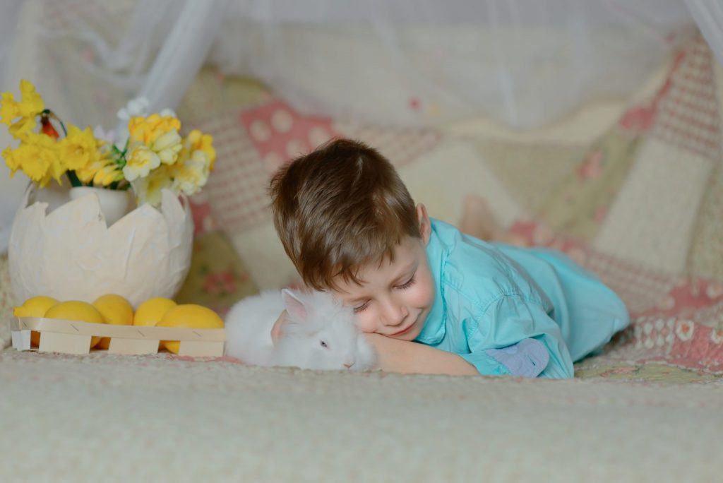 Ребенок спит с хомяком
