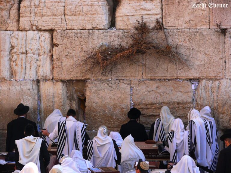 Авину Малкейну — אבינו מלכינו