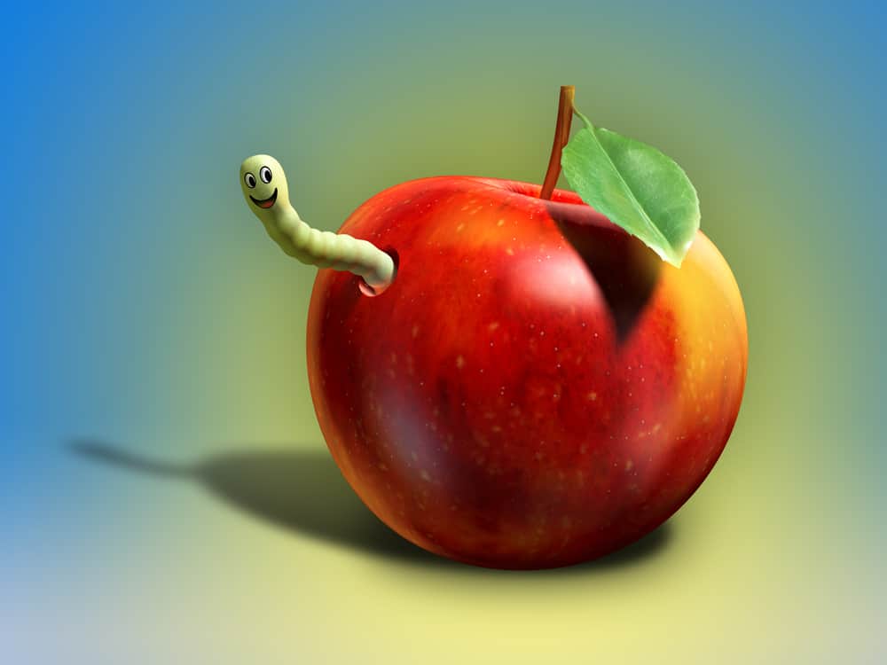 Apple worm