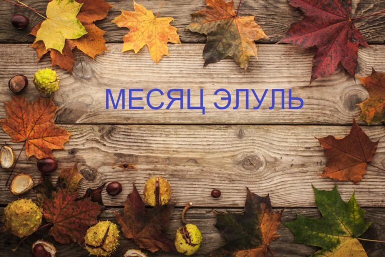 Законы месяца Элуль для новичков