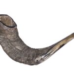 1200px-Shofar-16-Zachi-Evenor