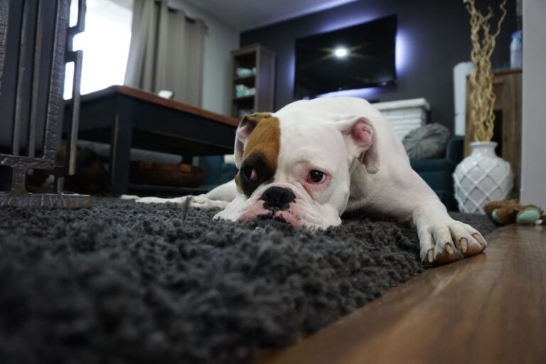 Saturday night blues