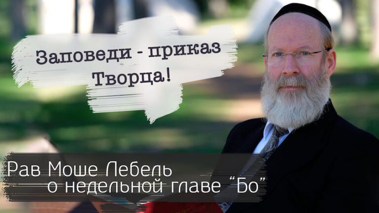 Рав Моше Лебель о недельной главе «Бо»