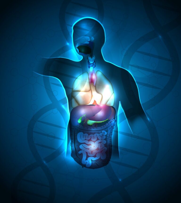 Почему Бог создал «лишние» органы — миндалины и аппендикс?