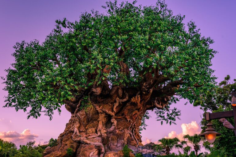 Горькое – это сладкое