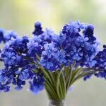 7 библейских пророчиц