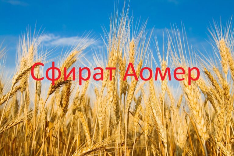 Исчисление омера — «сфират аомер». Для новичков