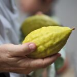 Почему Суккот говорит нам сейчас больше, чем когда-либо?