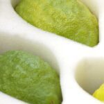 Etrogs