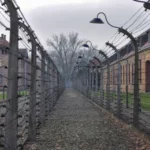 Как кашрут спас евреев во время Холокоста