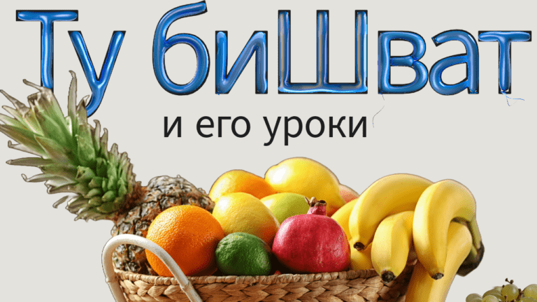 Видео: Ту биШват и его уроки