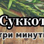 Суккот: все, что хотели знать, за 3 минуты